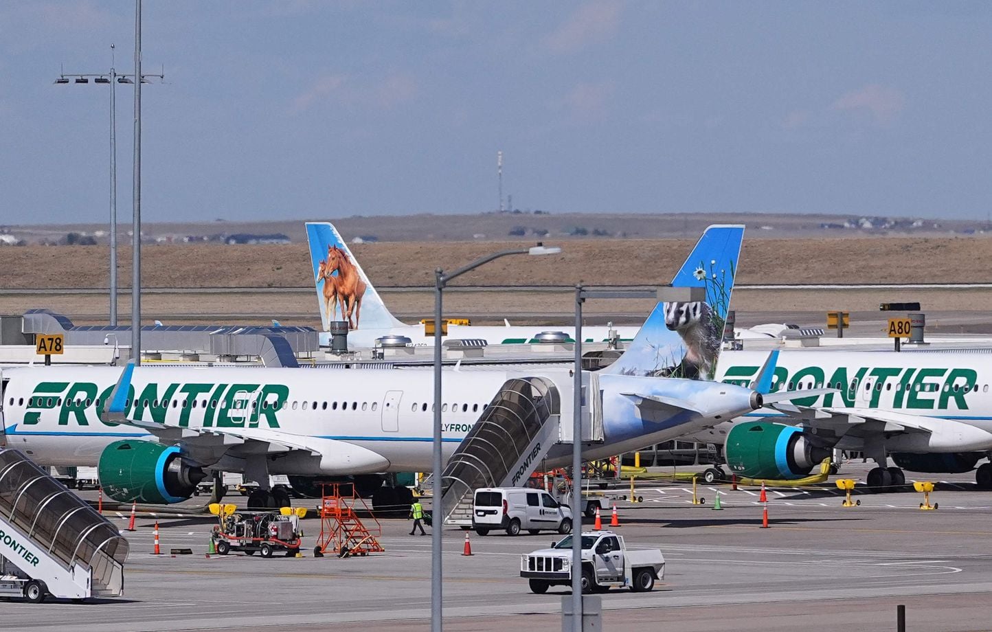 Peatón muere al ser atropellado por un avión durante el despegue Peatón muere al ser atropellado por un avión durante el despegue